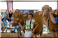 LCFAIR-081618-4709.jpg