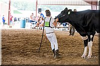 LCFAIR-081618-4720.jpg