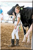LCFAIR-081618-4746.jpg