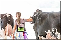 LCFAIR-081618-4748.jpg