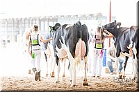 LCFAIR-081618-4750.jpg