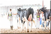 LCFAIR-081618-4751.jpg
