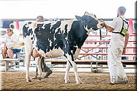 LCFAIR-081618-4753.jpg