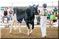 LCFAIR-081618-4754.jpg