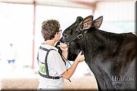 LCFAIR-081618-4757.jpg
