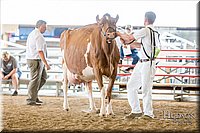 LCFAIR-081618-4764.jpg