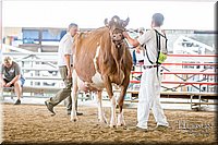 LCFAIR-081618-4765.jpg