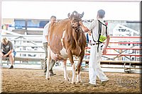 LCFAIR-081618-4766.jpg