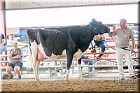 LCFAIR-081618-4768.jpg