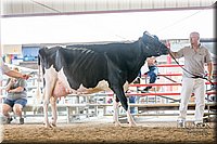 LCFAIR-081618-4769.jpg