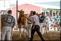 LCFAIR-081618-4770.jpg