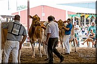 LCFAIR-081618-4771.jpg