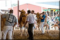 LCFAIR-081618-4772.jpg