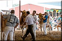 LCFAIR-081618-4773.jpg