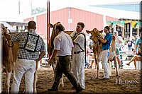 LCFAIR-081618-4774.jpg