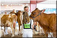LCFAIR-081618-4775.jpg