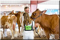 LCFAIR-081618-4776.jpg