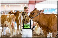 LCFAIR-081618-4777.jpg