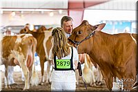 LCFAIR-081618-4778.jpg