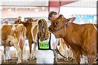 LCFAIR-081618-4779.jpg