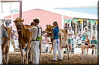 LCFAIR-081618-4780.jpg