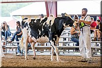 LCFAIR-081618-4782.jpg