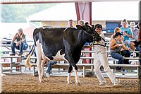 LCFAIR-081618-4783.jpg