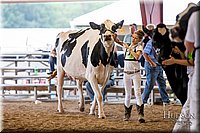LCFAIR-081618-4784.jpg