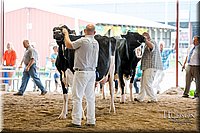 LCFAIR-081618-4819.jpg
