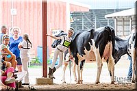 LCFAIR-081618-4883.jpg