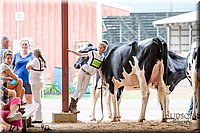 LCFAIR-081618-4884.jpg