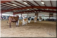 LCFAIR-081618-4902.jpg