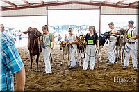LCFAIR-081618-4911.jpg