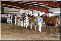 LCFAIR-081618-4930.jpg