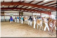 LCFAIR-081618-4949.jpg