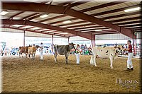 LCFAIR-081618-4989.jpg