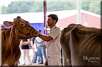 LCFAIR-081618-5025.jpg