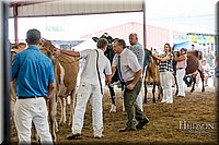 LCFAIR-081618-5065.jpg