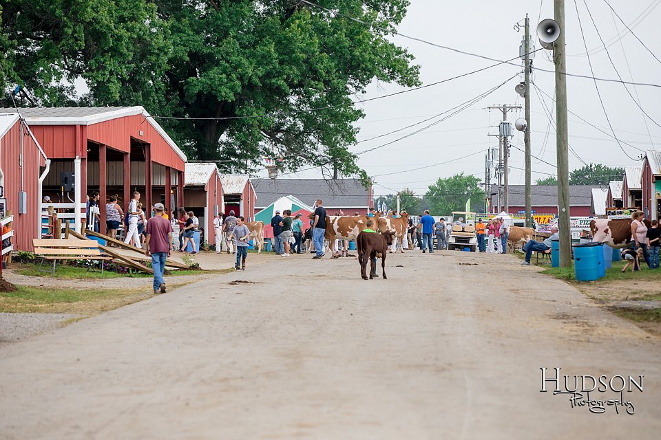 LCFAIR-081618-4415.jpg