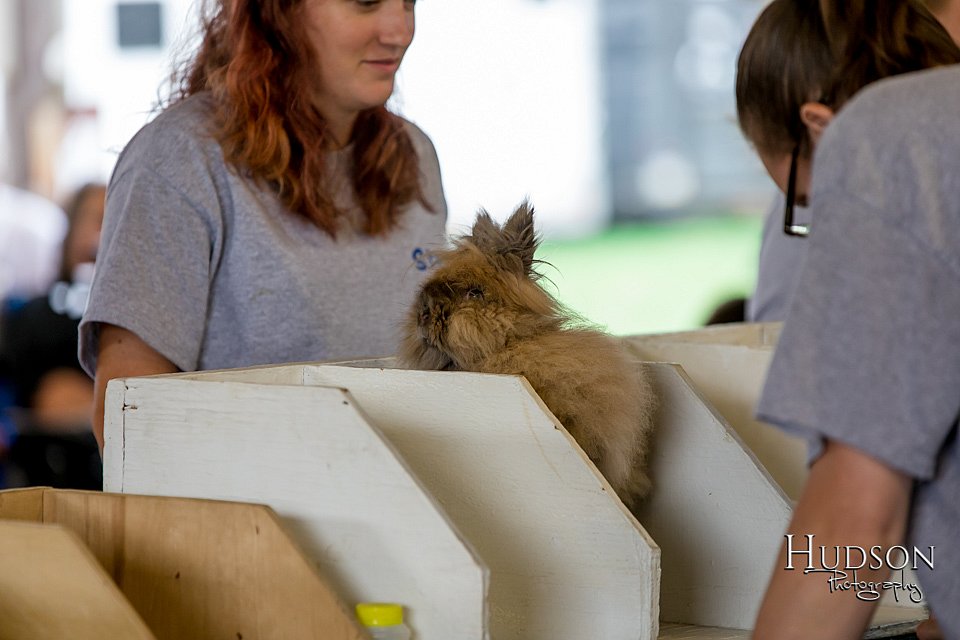 LCFAIR-081618-4486.jpg