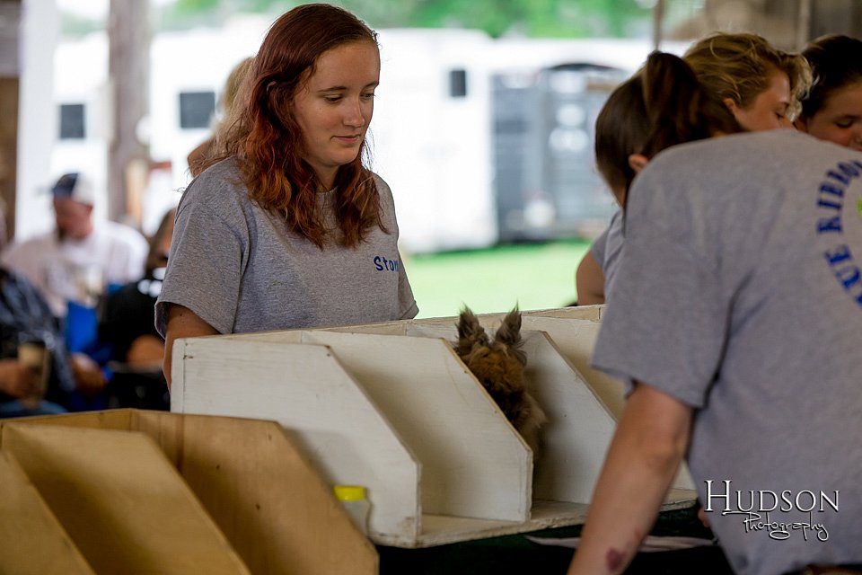 LCFAIR-081618-4488.jpg