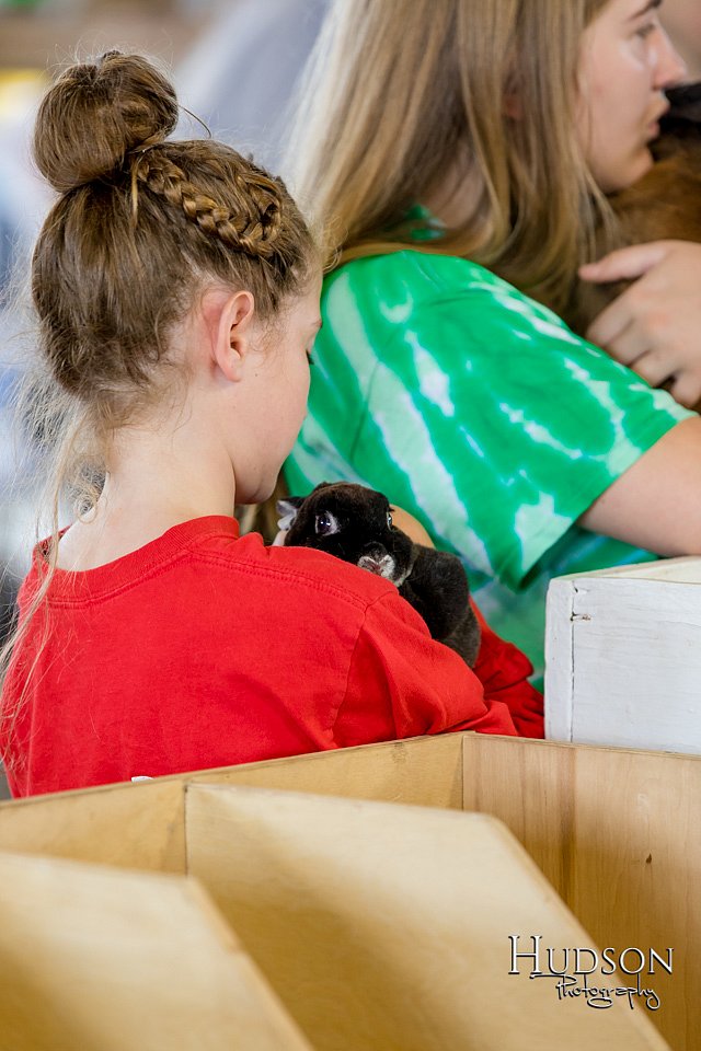 LCFAIR-081618-4540.jpg