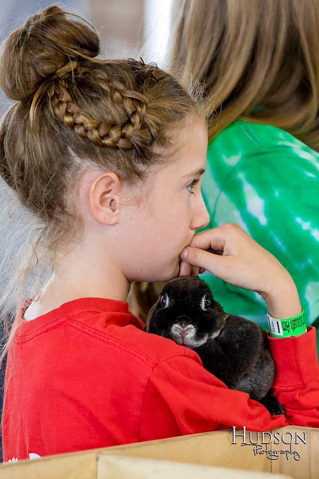 LCFAIR-081618-4542.jpg