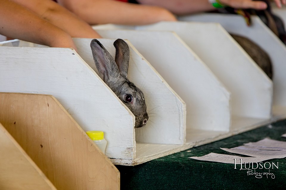 LCFAIR-081618-4589.jpg