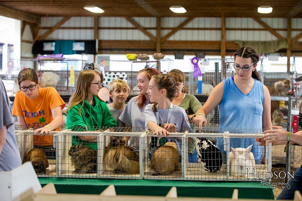 LCFAIR-081618-4639.jpg