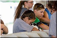 LCFAIR-081618-4535.jpg