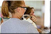 LCFAIR-081618-4613.jpg