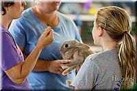 LCFAIR-081618-4615.jpg