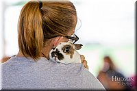 LCFAIR-081618-4623.jpg