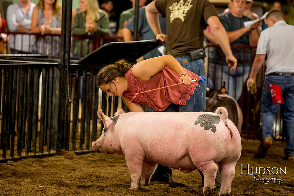 LCFAIR-081618-6034.jpg
